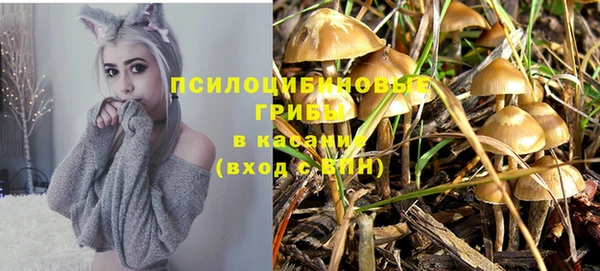 mdpv Абинск