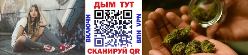 Конопля гибрид  Кораблино 
